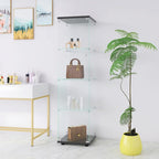 Vitrine en verre 4 étagères avec porte – Blanc/Noir – Simple
